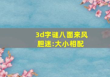 3d字谜八面来风 胆迷:大小相配